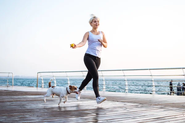 Genç kadın eğitim şirin köpek