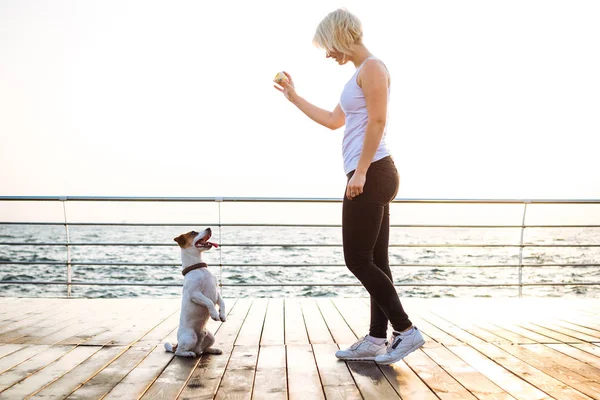 Genç kadın eğitim şirin köpek