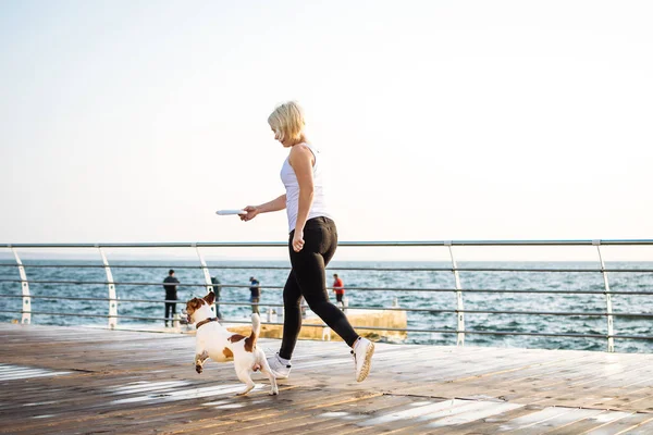 Молода жінка тренує милий собаку — стокове фото