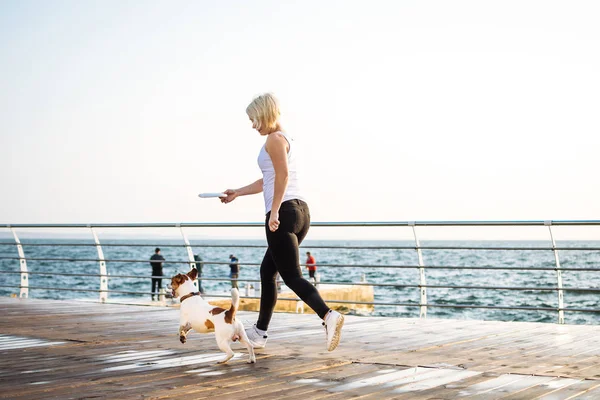 Giovane donna formazione cane carino — Foto Stock