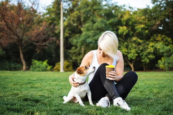 Jovem mulher formação bonito cão — Fotografia de Stock