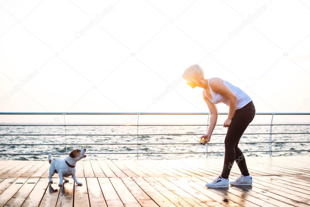 Young woman training cute dog 