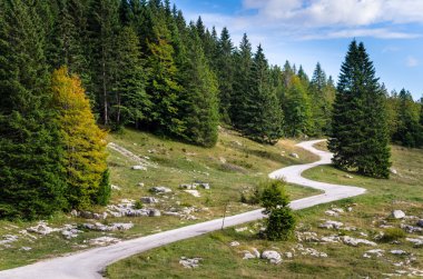 Virajlı dağ yolunda ve Clear Sky