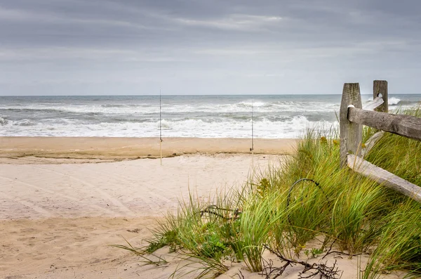 Deserted Sand Beach on a Cloudy Autumn Day