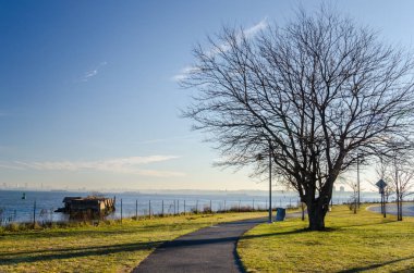 Bir kış sabahı ıssız döşeli yolu