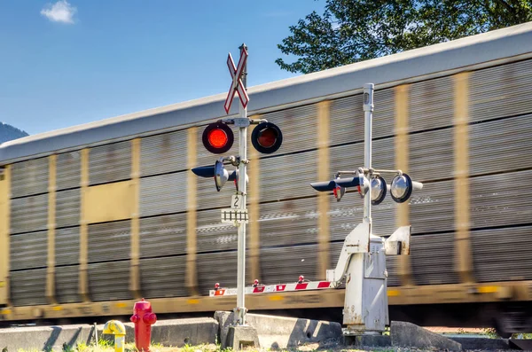 Tren de carga en movimiento — Foto de Stock