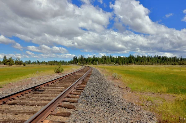 시골을 통해 단일 철도 선 — 스톡 사진