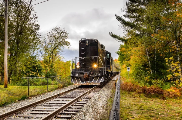 Locomotiva a diesel preta em um dia nublado — Fotografia de Stock