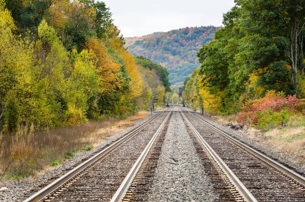 Étirement droit des voies ferrées bordées d'arbres — Photo