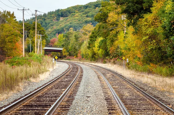 Railway Tracks on a Cloudy Autumn Day — Stock Photo, Image