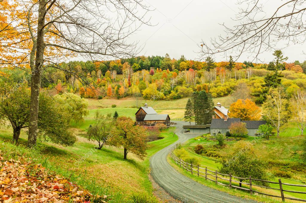 Rural Hilly Landscape on Rainy Autumn Day