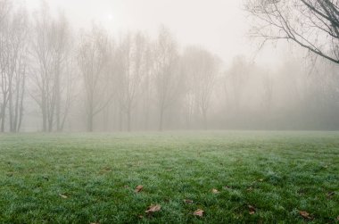 Hafif Dondurucu Sis kefen alan