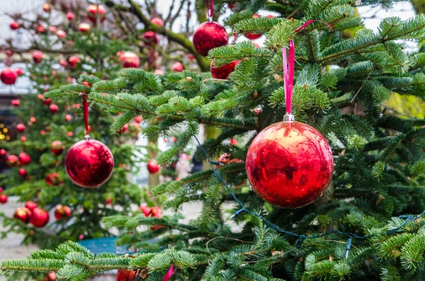Noel ağacı açık — Stok fotoğraf