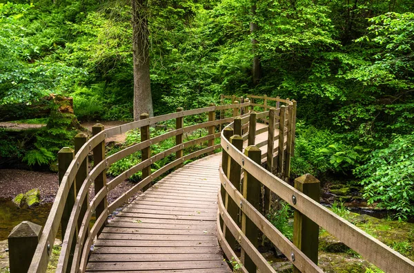 Puente peatonal de madera en un bosque — Foto de Stock