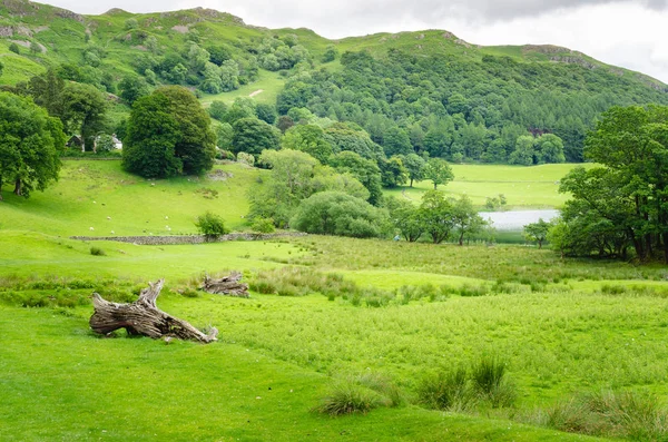 Paysage montagneux luxuriant dans le nord de l'Angleterre — Photo