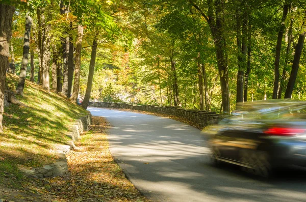 Motion carro desfocado em uma estrada da floresta no outono — Fotografia de Stock