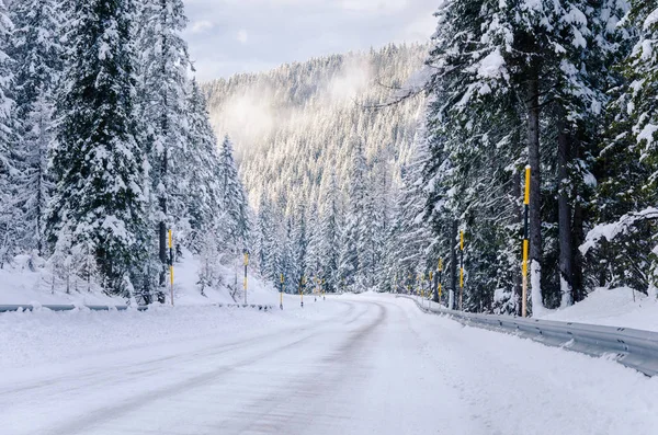 Icy Curving Mountain Road através de uma floresta de pinheiros nos Alpes Europeus — Fotografia de Stock