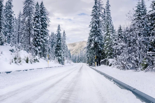 ヨーロッパ アルプスでストレート雪に覆われた山の道 — ストック写真