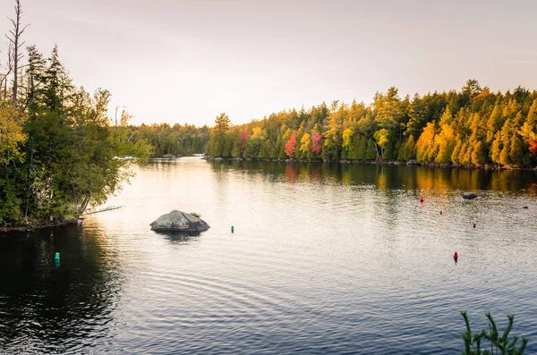 Lago de montaña rodeado de exuberante bosque otoñal al atardecer —  Fotos de Stock