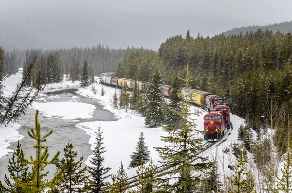 货运列车在降雪 — 图库照片