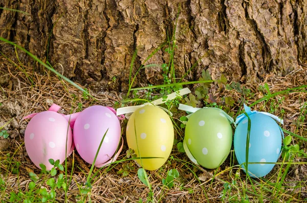 Pastel Colored Easter Eggs with a Tree Trunk in Background