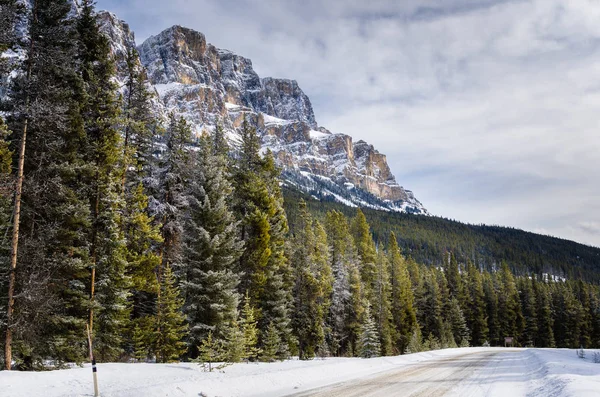 积雪的路上，在一个冬天阴天的雄伟山风景 — 图库照片