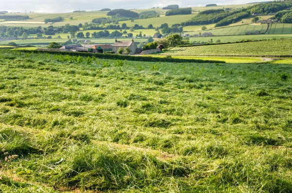 Granja en el campo de Inglaterra al atardecer — Foto de Stock