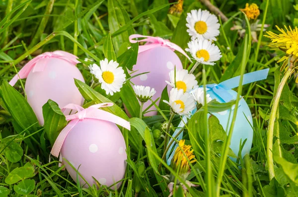 Gruppe pastellfarbener Ostereier zwischen Gras und Blumen — Stockfoto