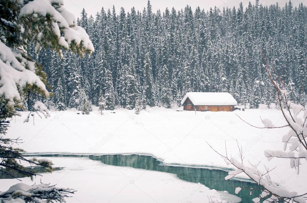 Lake Louise in Winter