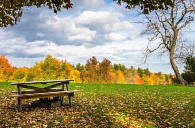 Wooden Picnic Table in a Glade covered with Fallen Leaves clipart