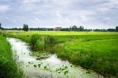 Drenaj hendek yanı sıra çimenli alan bir bulutlu bahar gününde