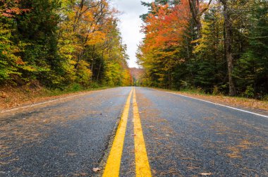 Dağ yolundan sonbaharda Adirondacks içinde