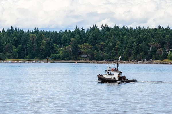 Malý remorkér v navigaci v Nanaimo přístavu na zamračený den — Stock fotografie
