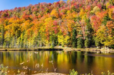 Gourgeous sonbahar renkleri Adirondacks içinde