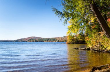 Mavi gökyüzünün altında sakin dağ gölü