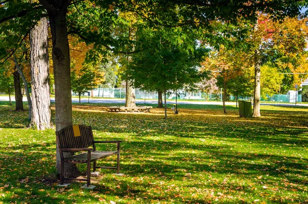 Verlassener öffentlicher Park mit Rasen, der an einem sonnigen Herbsttag mit fallendem Laub bedeckt ist — Stockfoto