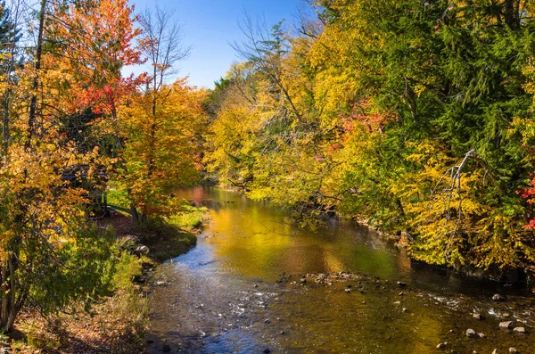 Mountain River em um claro dia de outono — Fotografia de Stock