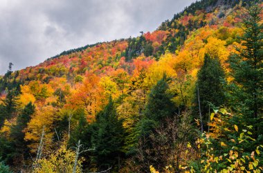 Dağ manzarası ve sonbaharda bulutlu gökyüzü