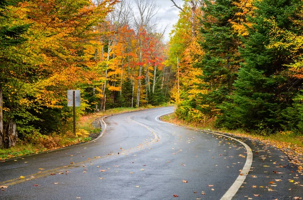 Colores de otoño vibrantes a lo largo de un camino escénico sinuoso de montaña —  Fotos de Stock