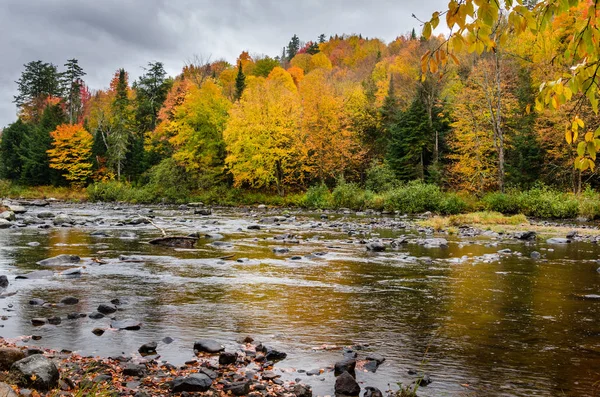 Colourful Autumnal Trees along a Mountain River and Overcast Sky — Stock Photo, Image