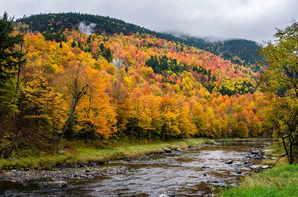 Fall Foliage along a Mountain River — Stock Photo, Image