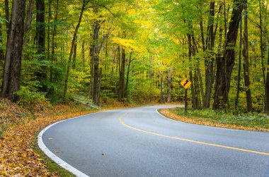 Curve on a a Mountain Road clipart