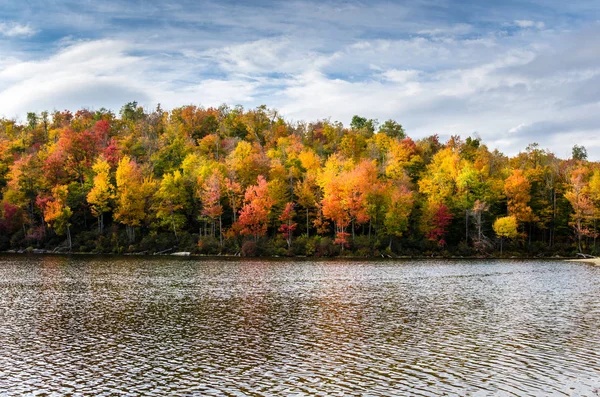 夕暮れ時の湖の岸に美しい秋の色 — ストック写真