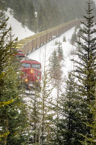 Goods Train during a Heavy Snowstorm in the Mountains — Stock Photo, Image