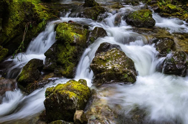 Cachoeira com rochas cobertas com musgo — Fotografia de Stock