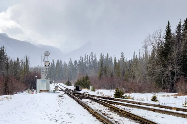 Interruptor de ferrocarril y señal en un día nublado de invierno —  Fotos de Stock