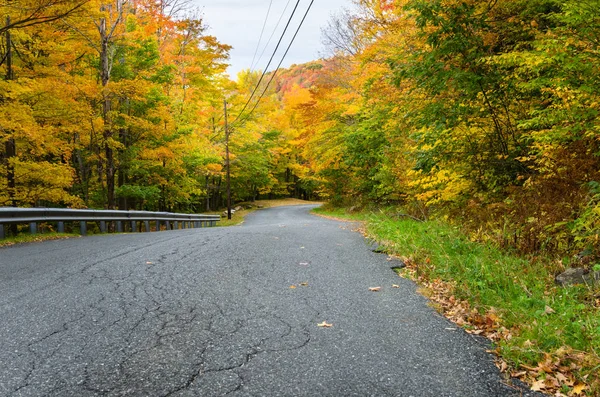 Ruw weg door herfst bos — Stockfoto