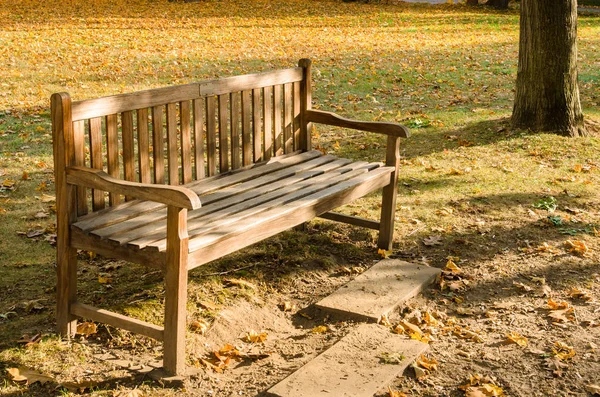 Banco de madera vacío en un parque — Foto de Stock