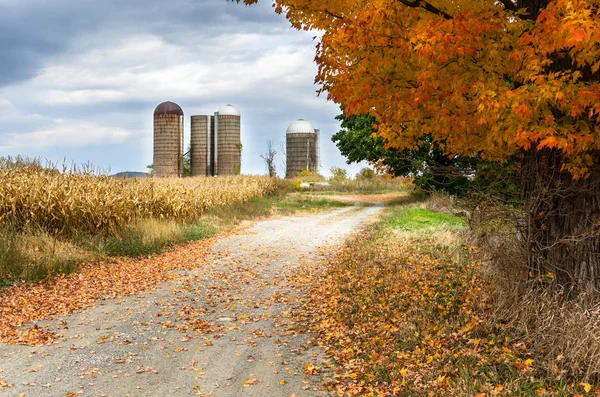 Alte traditionelle Silos im ländlichen Amerika an einem bewölkten Herbsttag — Stockfoto