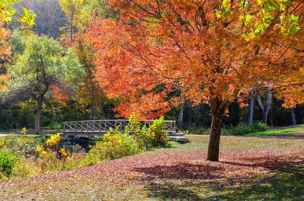 Wooden Pedestrian Bridge in a Public Park in Autumn — Stock Photo, Image